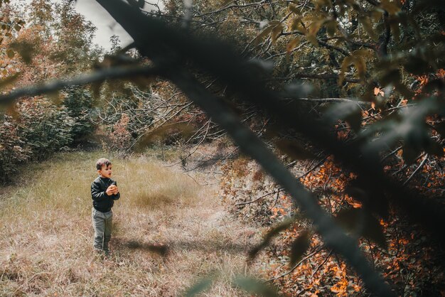 Un ragazzo allegro nella foresta autunnale con una mela in mano