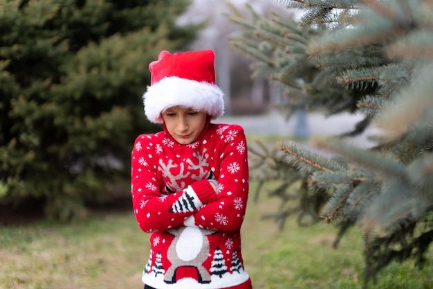 A cheerful boy in a red Christmas sweater with a deer and a Santa hat is standing in the park near the Christmas tree and pressed his hands to himself