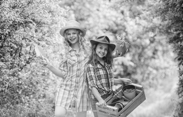 Cheerful children working in garden Growing vegetables Planting vegetables Summer activity Sisters cute kids helping at farm Agriculture concept Girls planting plants Planting and watering