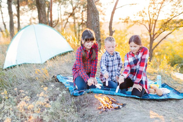 A cheerful company of two girls and a boy on a picnic in the\
middle of the forest