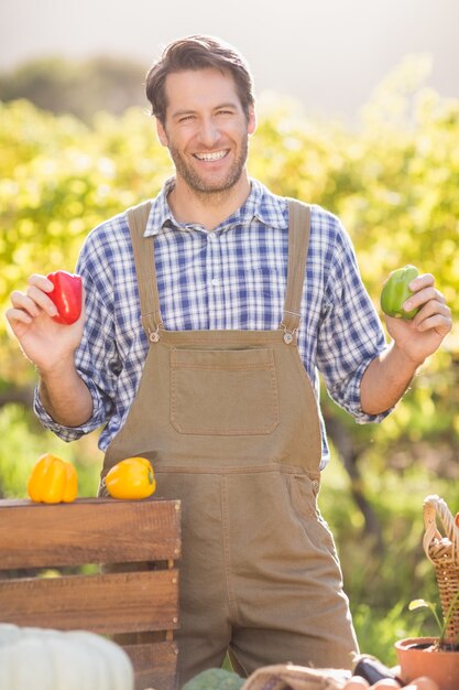 Cheerful farmer holding red and green peppers