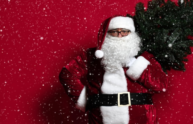 쾌활한 뚱뚱한 산타 클로스는 크리스마스 트리를 들고 허리에 손을 대고 크리스마스에 달려갑니다.