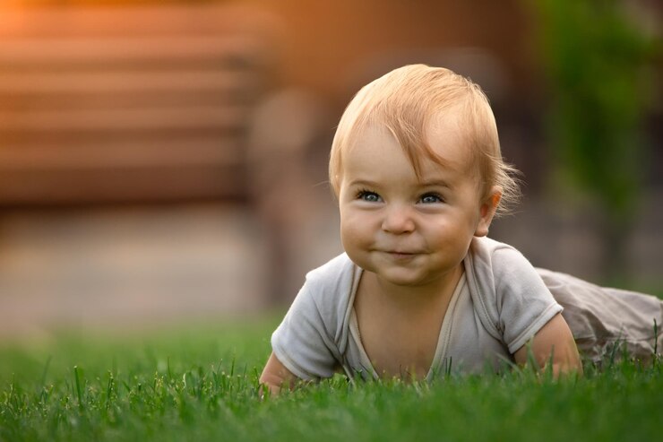 A cheerful and happy little boy is sitting on a green lawn