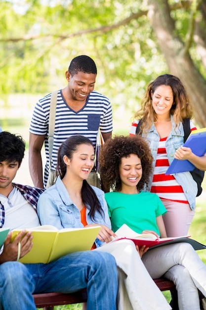 Cheerful students studying 