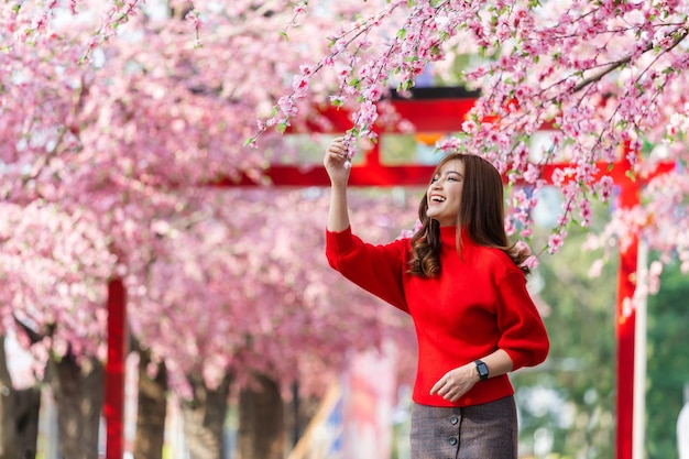 Cheerful woman traveler looking cherry blossoms or sakura flower blooming in the park