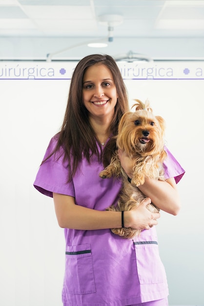 Cheerful women veterinary holding a little dog. Veterinary Concept.