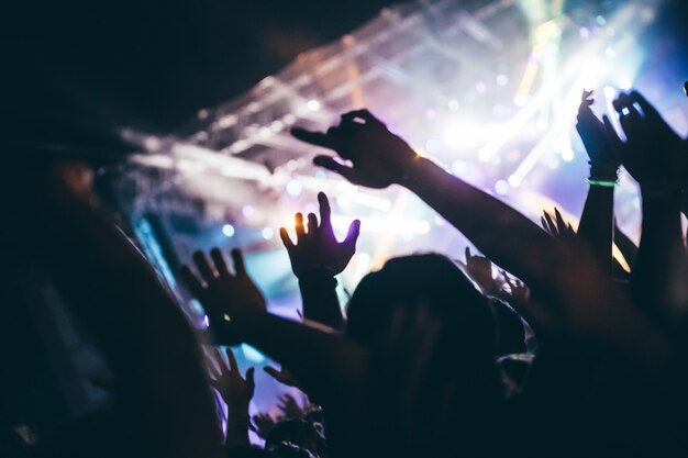 Cheering happy crowd at concert enjoying music performance