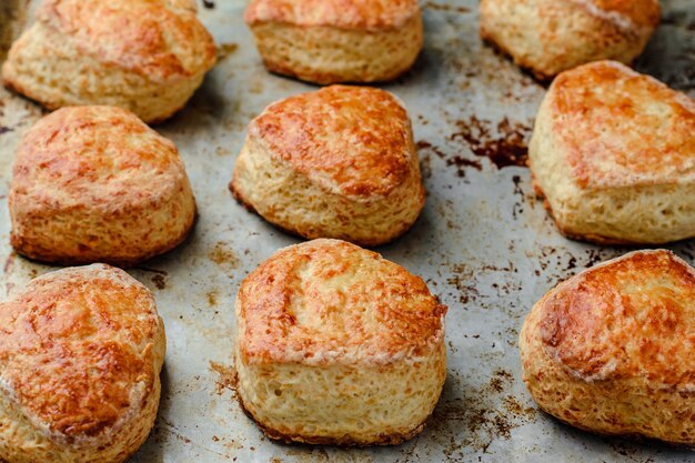 Cheese buns scones on a mettalic baking sheet.