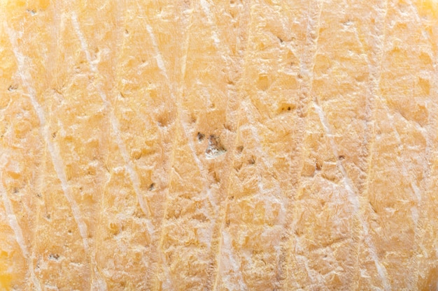 Cheese close up