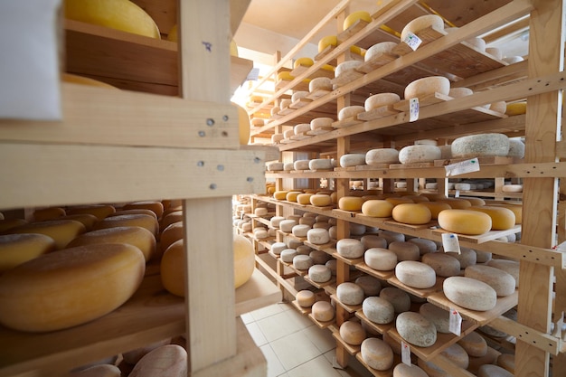 熟成した古いチーズの地元のオーガニックが空のチーズ工場の生産棚