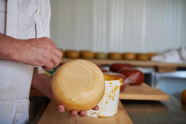 Cheese maker preparing  goat and cow  cheese wheels during the aging process in local food production factory