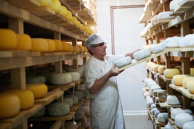 Cheese maker at the storage with shelves full of cow and goat cheese wheels during the aging process in local food production factory