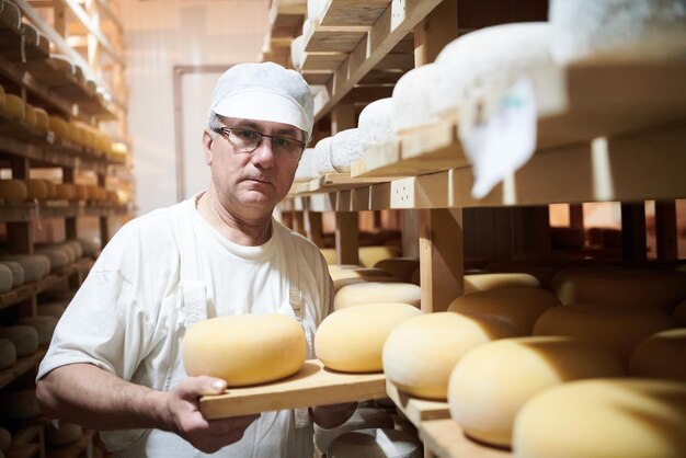 Cheese maker at the storage with shelves full of cow and goat cheese wheels during the aging process in local food production factory