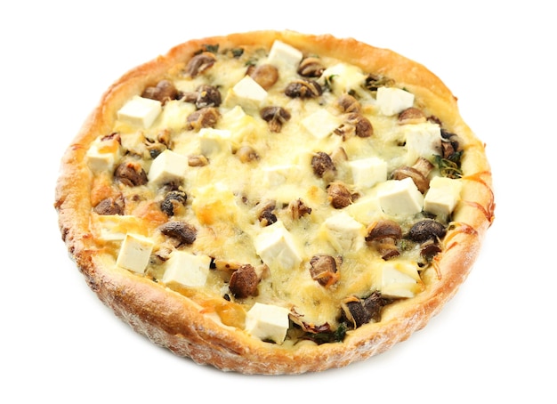 Cheese pie with mushrooms herbs and sour creme isolated on white