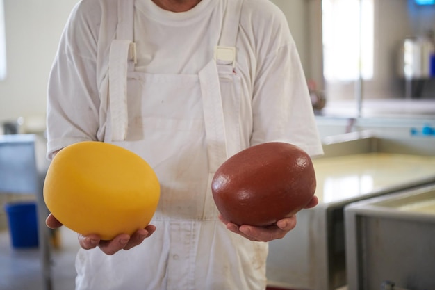 Cheese production male cheesemaker employee working in factory