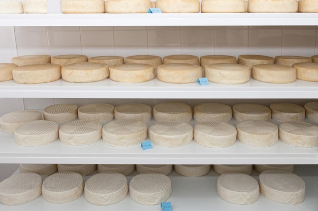 cheese on shelves in a dairy farm, closeup of photo