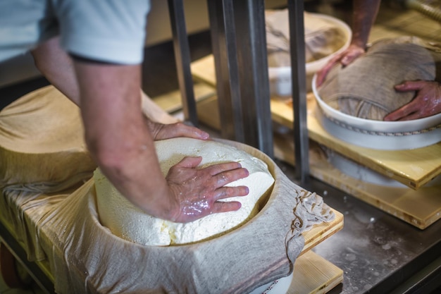 Cheese wheel preparation in a dairy