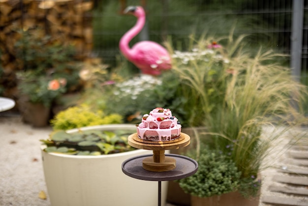 Cheesecake in de tuin