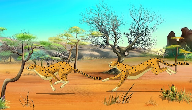 Cheetahs on the Hunt illustration