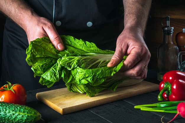 シェフが新鮮な白菜のサラダを作ります。レストランの厨房でスライスする準備。野菜ダイエットのアイデア。