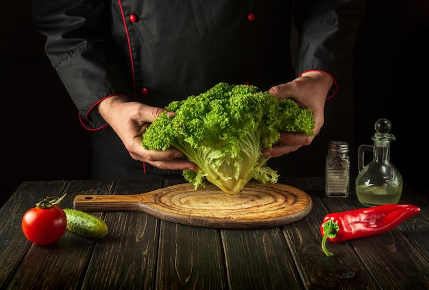 The chef prepares a diet salad or meal from Lettuce Green leaves in the hands of the cook in the kitchen The idea of a vegetable diet