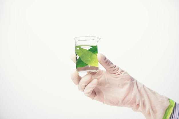 Chemical liquid in glassware of science lab on white background