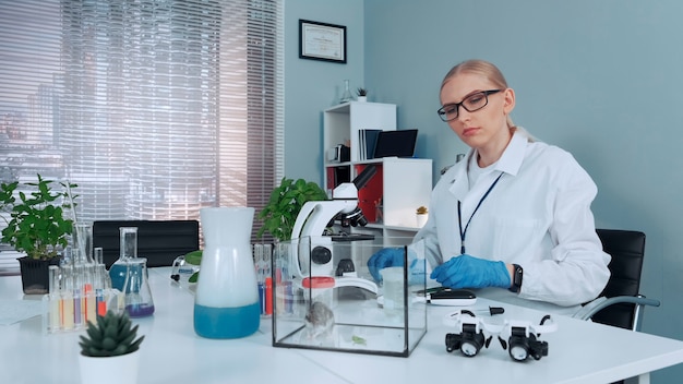 Chemisch laboratorium vrouwelijke wetenschapper die hamster organisch materiaal te eten geeft en dan haar observaties schrijft