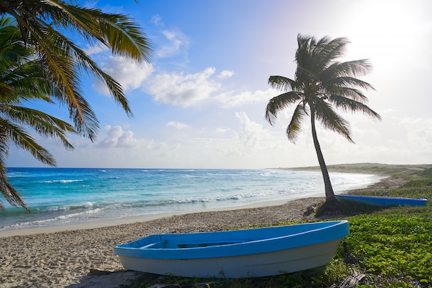 Chen Rio-het eiland van strandcozumel in Mexico