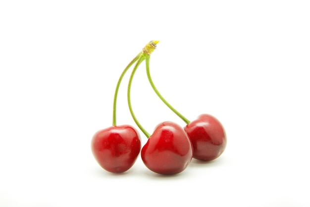 Cherries against white background