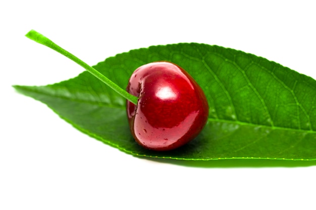 The cherries isolated on the white background