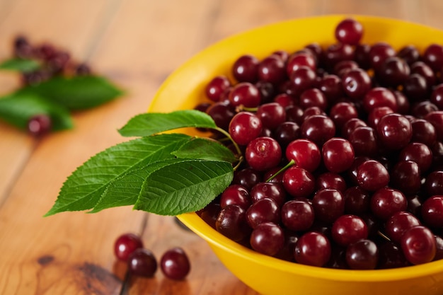 Cherries in a plate on the table closeup shot