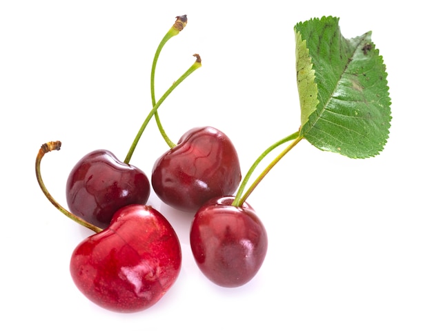 cherries in studio