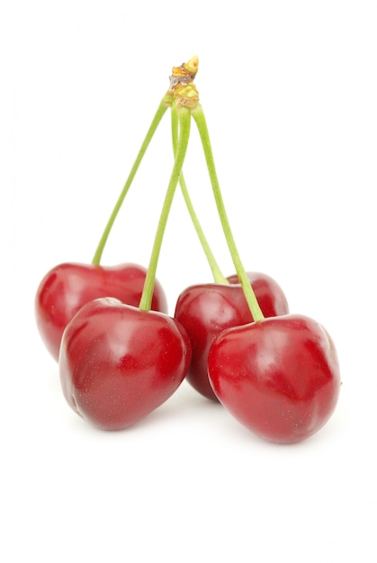 Cherries on white wall