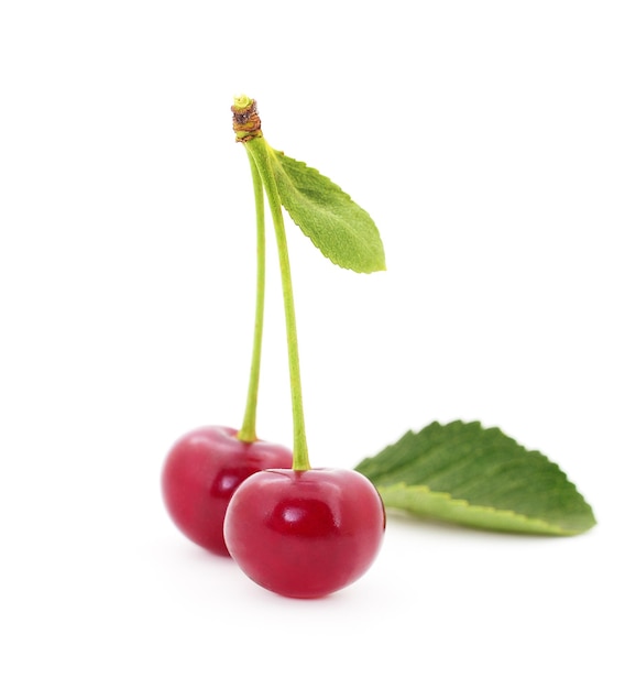 Cherries with petioles isolated