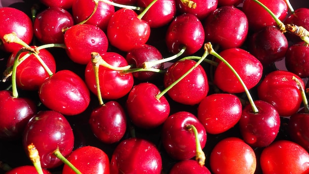 Cherry background Juicy ripe delicious cherry or sweet cherry closeup from above Summer fruits