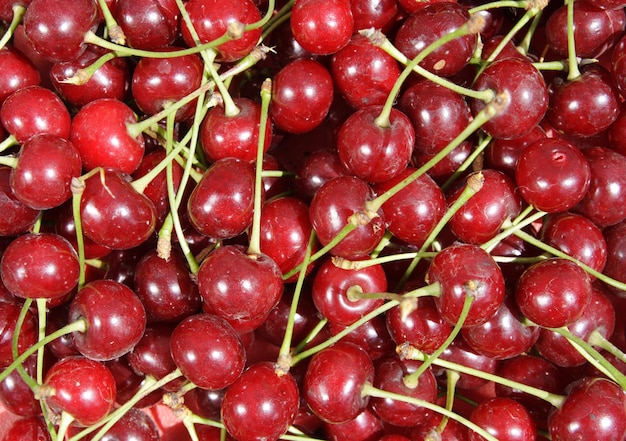 Cherry background