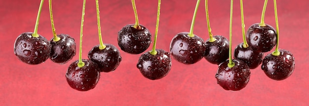 Фото Вишневый баннер фон из спелых ягод вишни с каплями свежести