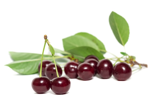 Cherry berries isolated on a white background