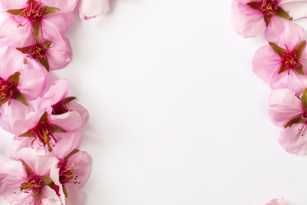 モックアップ用の白紙の桜の美しさ