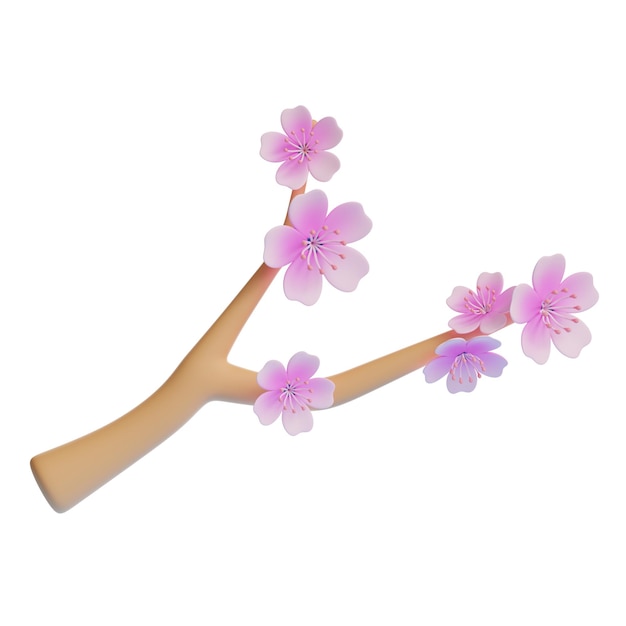 櫻花枝
