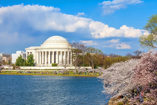 Cherry Blossom Festival in Washington DC in de VS