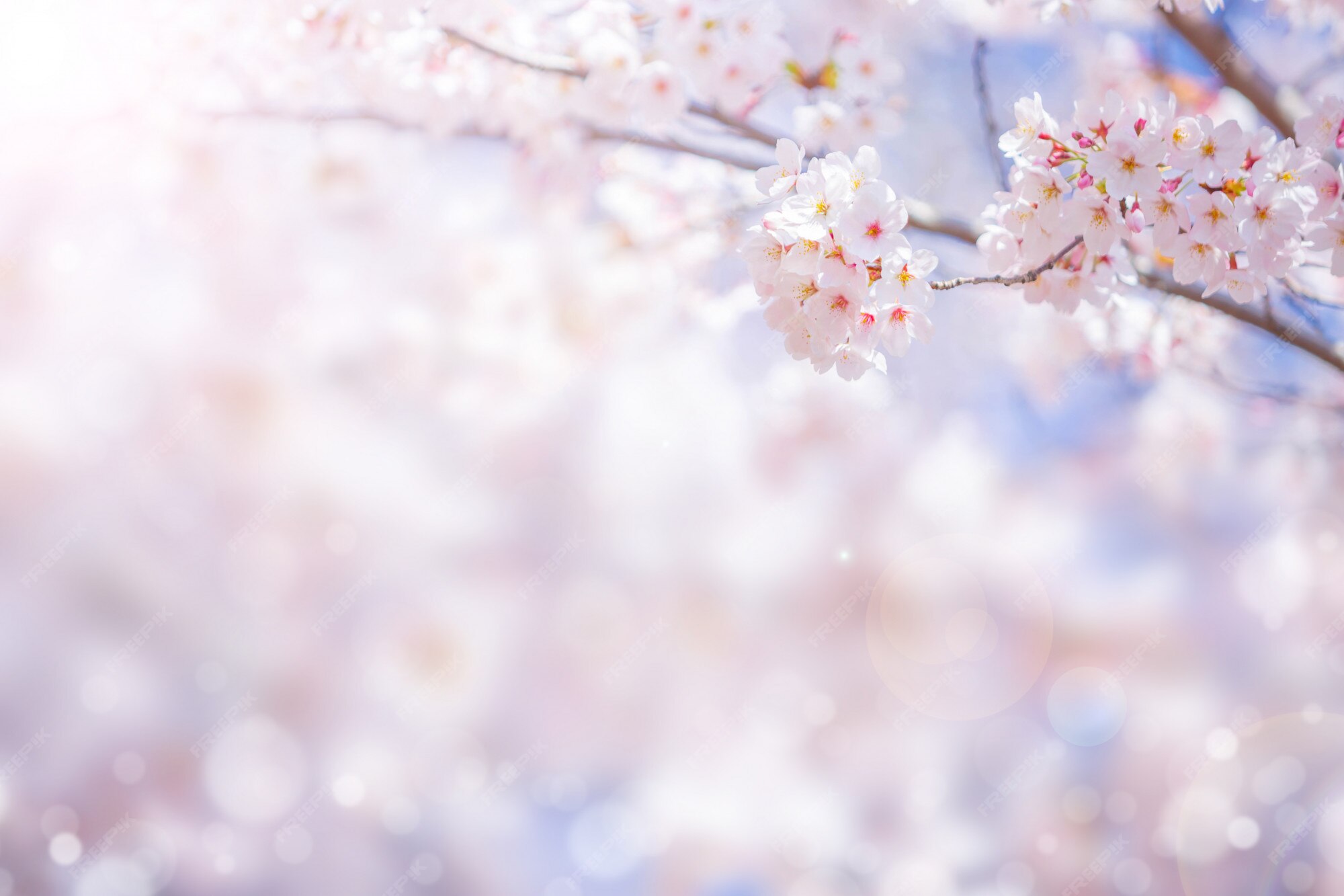 Spring Background 画像 無料のベクター ストックフォト Psd Spring Background 画像 無料のベクター ストックフォト Psd
