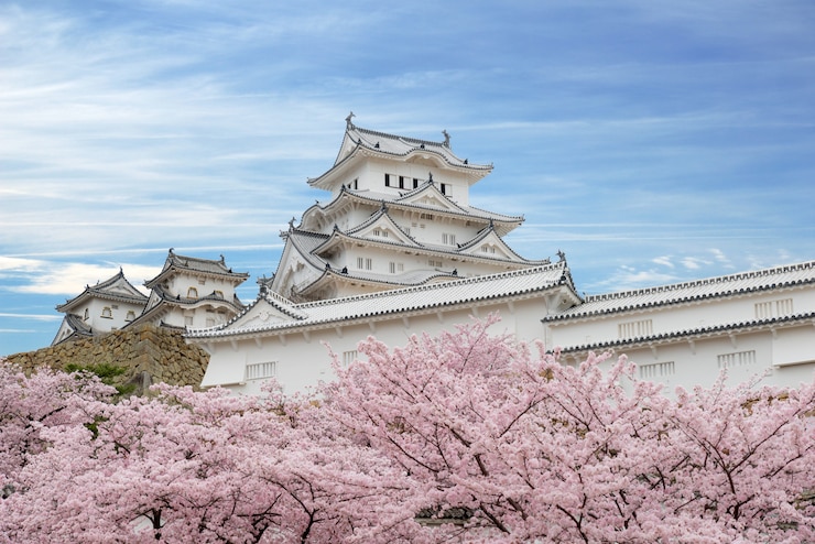 Photo cherry blossom flowers and himeji castle in himeji, hyogo, japan