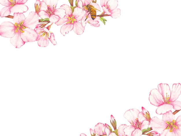 cherry blossom watercolor painting