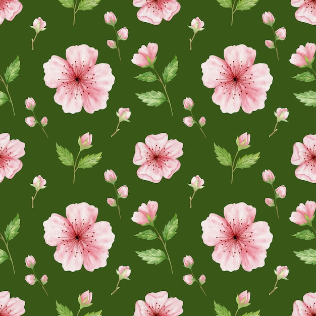 Cherry blossom watercolor seamless pattern