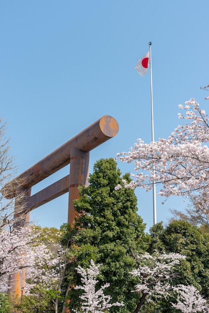 일본 도쿄 야스쿠니 신사의 벚꽃