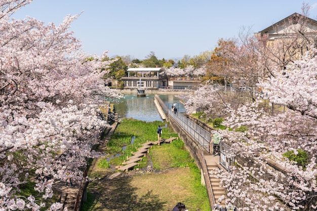 写真 ナンゼンジボート貯水池に沿って桜がく ビワ湖運河 京都 日本