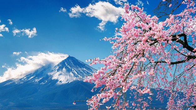 空の向こうの山に桜がいています