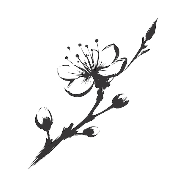 Cherry flower blossom botanical art Spring tree hand draw doodle vector illustration Ink sketch