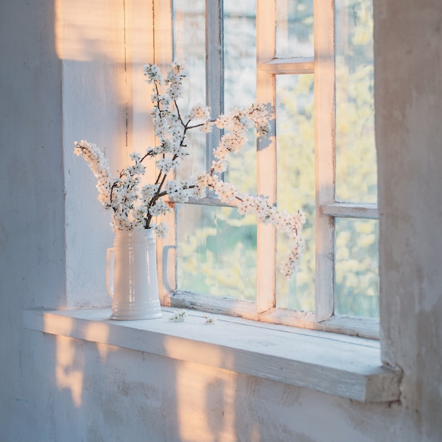 Cherry flowers in white jug on windowsill at sunset